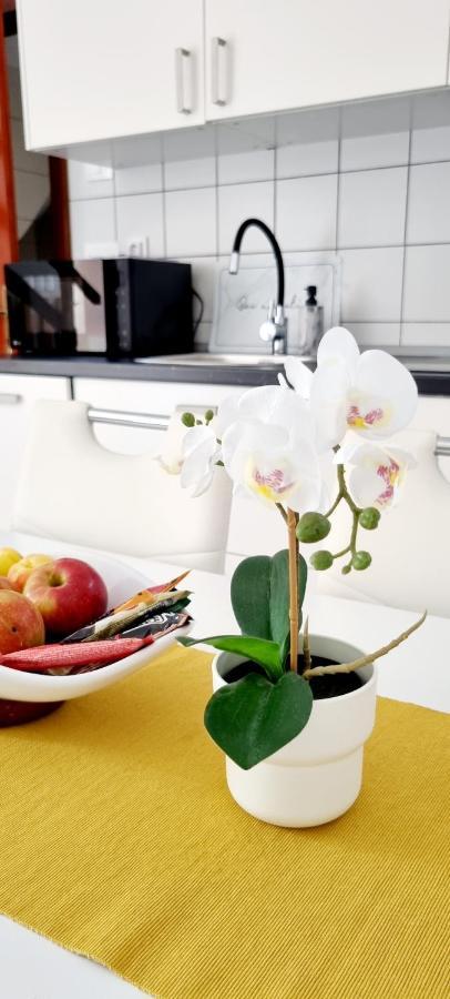 Apartman Severina Rovinj